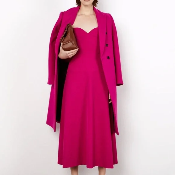 Zara Bustier Midi Dress - Picture 9 of 15